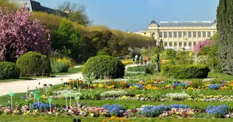 jardin-de-plantes.jpg