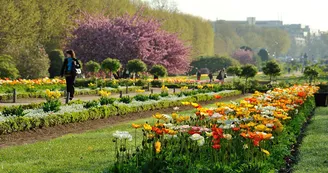 jardin-de-plantes-2.jpg
